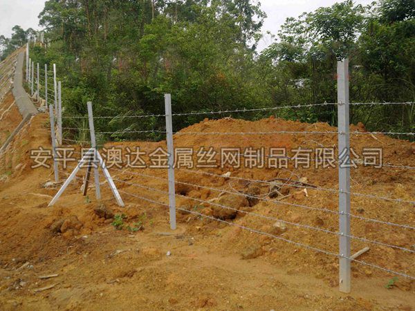 刺铁丝隔离栅 (1)