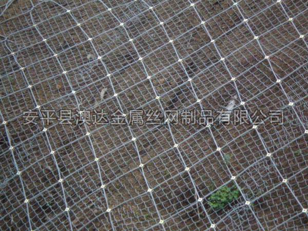 SNS主动防护网 (2)