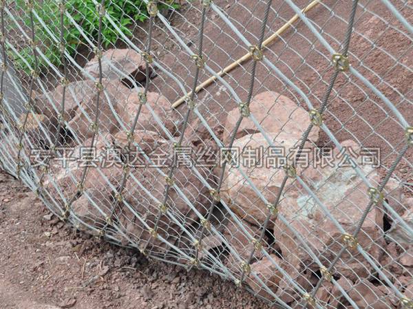 SNS被动防护网 (11)