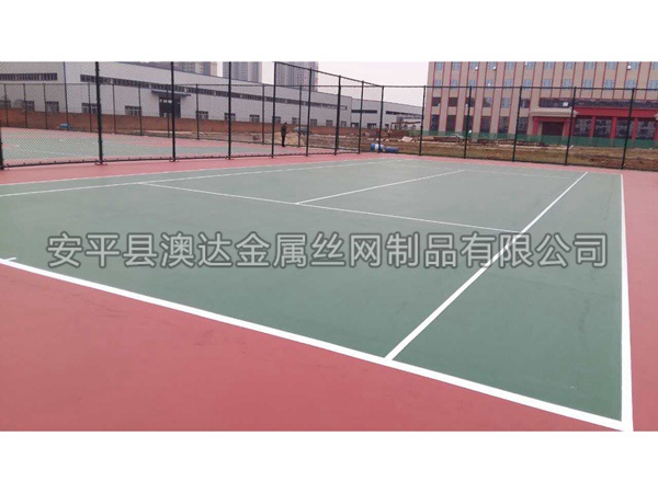 篮球场围网 (7)