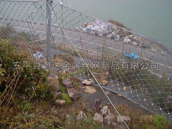 SNS被动防护网 (1)