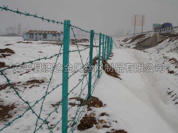 刺铁丝隔离栅 (4)