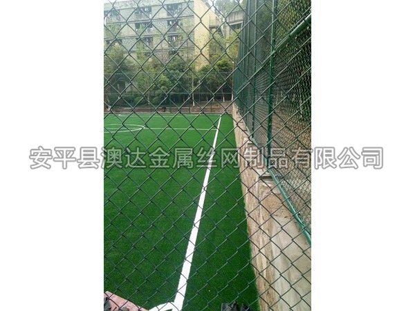 足球场围网 (7)