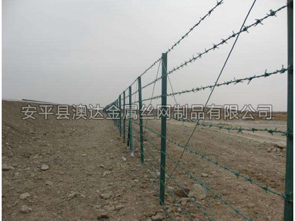 刺铁丝隔离栅 (7)