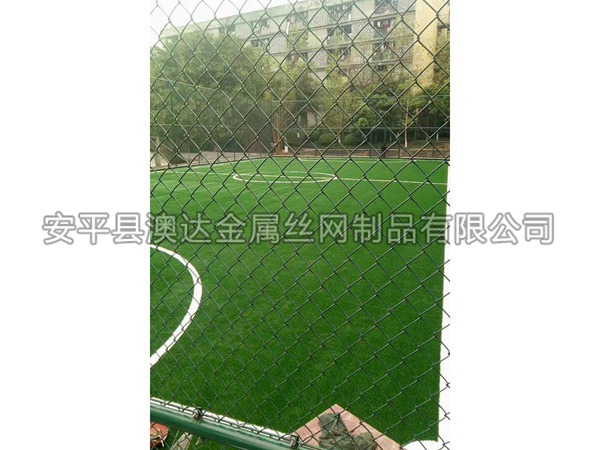 足球场围网 (8)